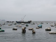 -东极岛景区
