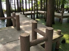 -东湖落雁景区