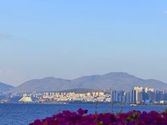 -洱海月湿地公园