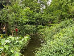 -苏州河梦清园环保主题公园