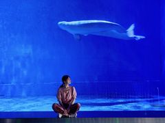 -芜湖新华联大白鲸海洋公园