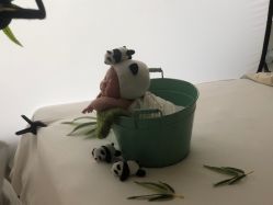 -玛瑞莎·儿童·亲子摄影(越秀店)