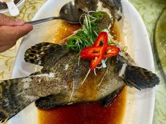 -鹏城人家海鲜酒家·23年老字号(较场尾店)