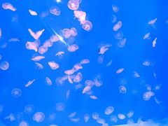 -沈阳海洋探索中心