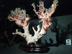 -台北故宫博物院