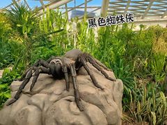 -西安世博园
