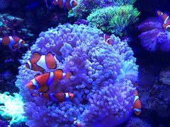 -多彩贵州城极地海洋世界