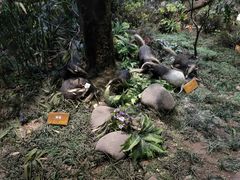 -陕西自然博物馆