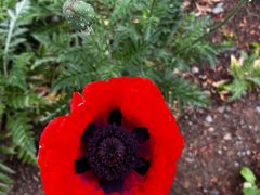 -国家植物园南园