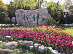 -上海鲜花港