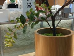 -茉莉奶白(广州动漫星城店)