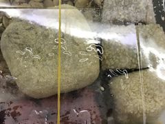 -五芳斋(中山大道总店)