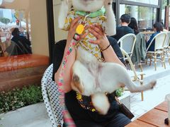 -Peet's Coffee皮爷咖啡(大学路店)