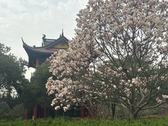 -海天禅寺
