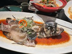 -鸽子侯·家宴·平价海鲜(绿地店)