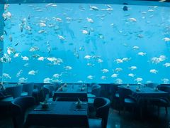 -瑞德姆美人鱼海底演艺主题餐厅(亚龙湾店)