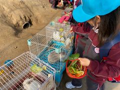 -前小桔亲子创意农场·草莓采摘·露营烧烤