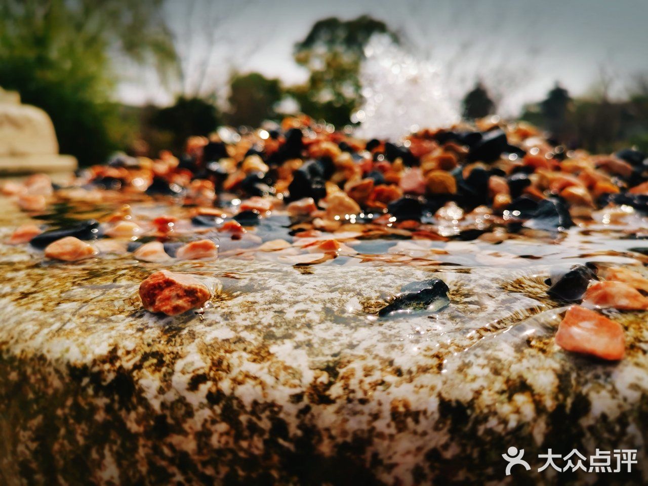 写于2019.03.12 公园里处处都是可以记录的景色