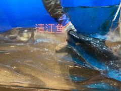 -舒来喜鱼锅(伊河路店)