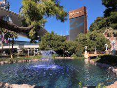 -拉斯维加斯永利酒店