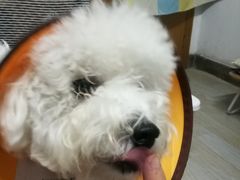 -芜湖方特东方神画