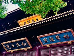 -亭林园-华藏寺