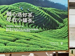 -小罐茶(济南恒隆广场店)