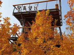 景点-东郊湿地公园