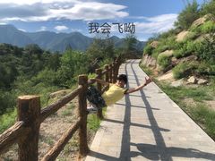 -白水寺森林公园