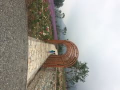 iphone_upload_pic-紫云台香草园