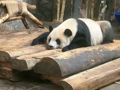 -海南热带野生动植物园