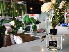 -Husky Go! 哈士奇体验馆·宠物咖啡厅狗咖