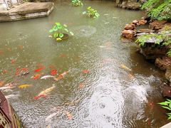 -兴福老面馆(寺路街店)