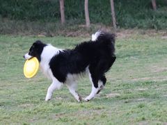 -环城公园-琥珀潭