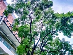 -F518时尚创意园