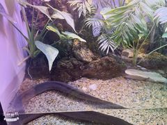 -上海海洋水族馆