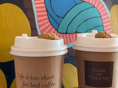 -Cafe del Volcan(永康路店)