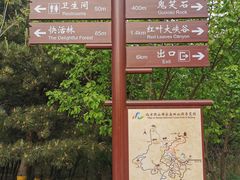 -北京西山国家森林公园