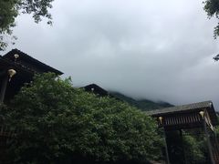 -天门沟九州驿站树上汤泉