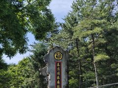 -朱雀国家森林公园