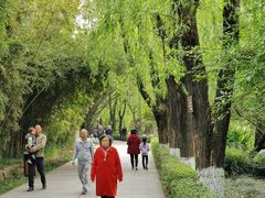 景点-房湖公园