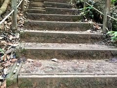 -武吉知马自然保护区