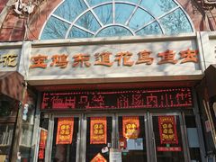 -宝鸡东道花鸟鱼虫市场(吉利花园商场店)
