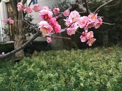 -张江润和国际总部园