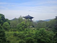 -大唐贡茶院