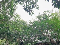 -泉眼温泉