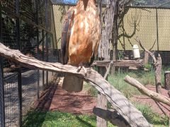 -费瑟代尔野生动物园