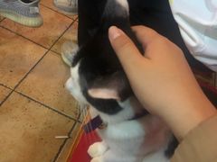 -老龙亭拉面店