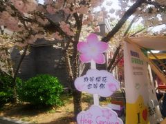 -龙湖星悦荟(颐和店)
