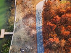 -上海长兴岛郊野公园